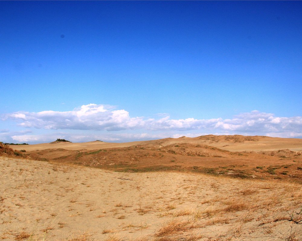 La Paz Sand Dunes